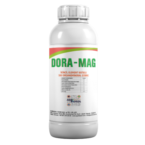 Dora-Mag