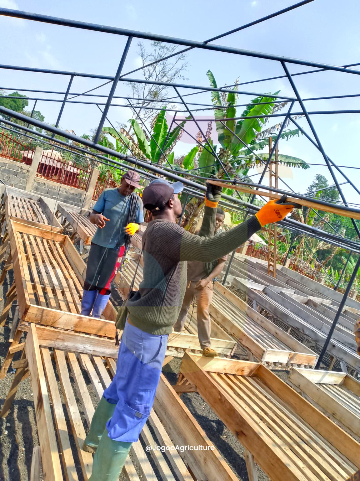 Installation d'une serre en métal par Jogoo Agriculture