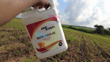 Engrais liquides ou granulés : lequel choisir  ?