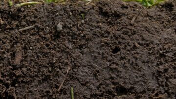 Composition du sol : la base d’une fertilisation réussie
